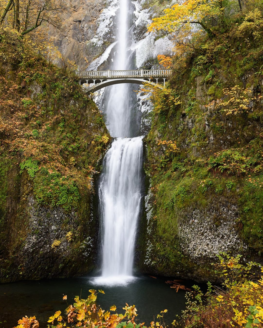 Seasons change, the trail stays the same 🍂 📍 Oregon #travel #art [QA] 📷 King of Hearts · CC BY-SA 4.0