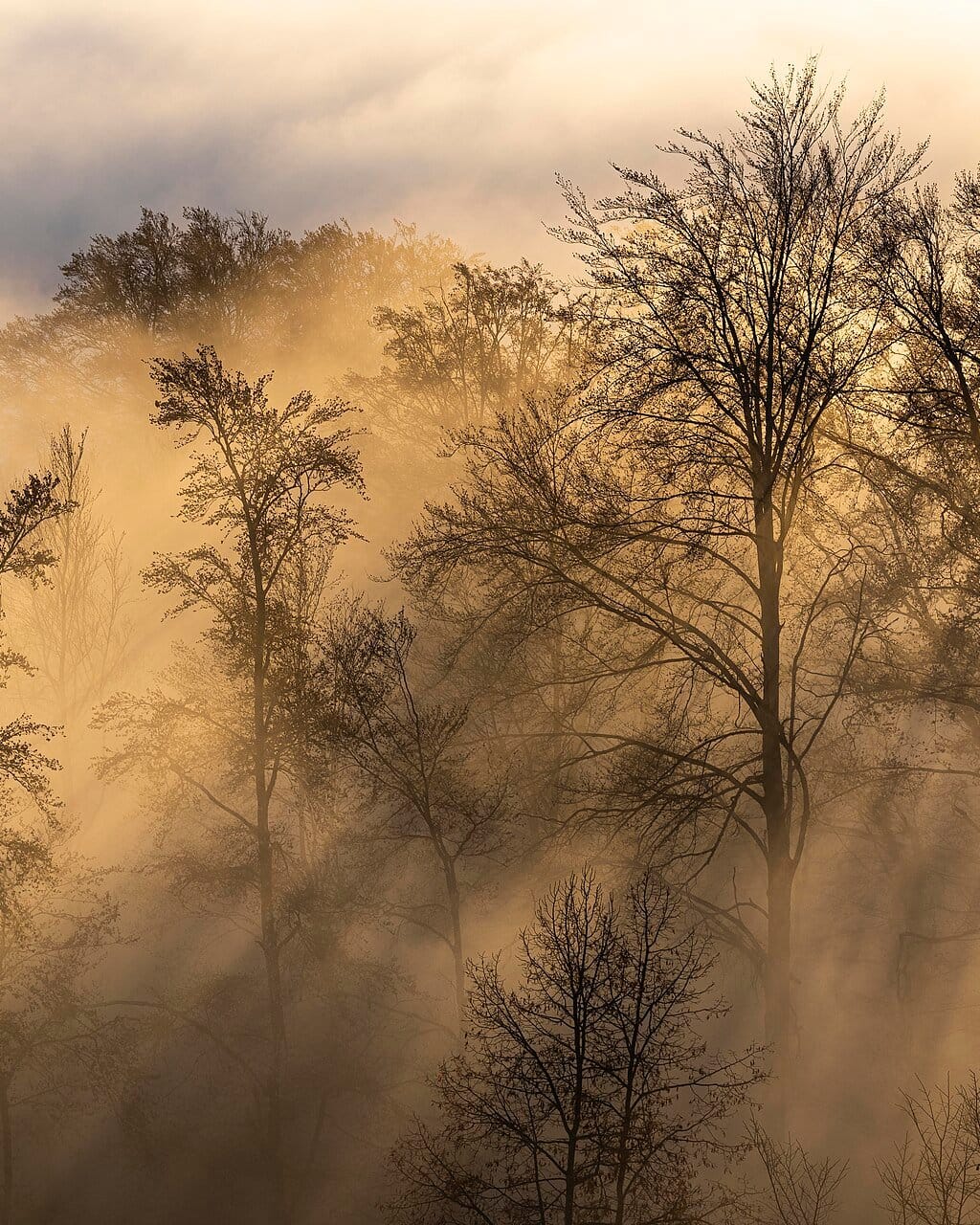 November fog. That is it, that is the post ❄️ 📍 Zurich #travel [QA] 📷 Kuhnmi, Wolfgang Moroder, George Chernilevsky ·… (1/3)