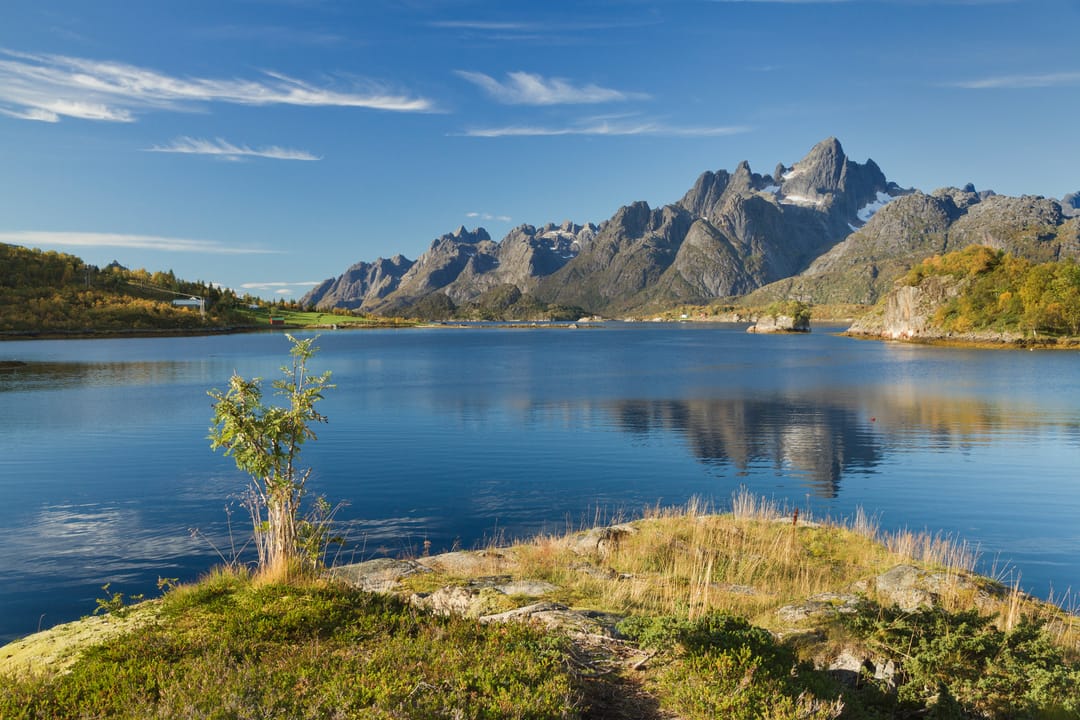 Some places make you forget your phone exists. Tennfjorden is one of them 🌲 📍 Lofoten, Norway #nature #wanderlust [QA…