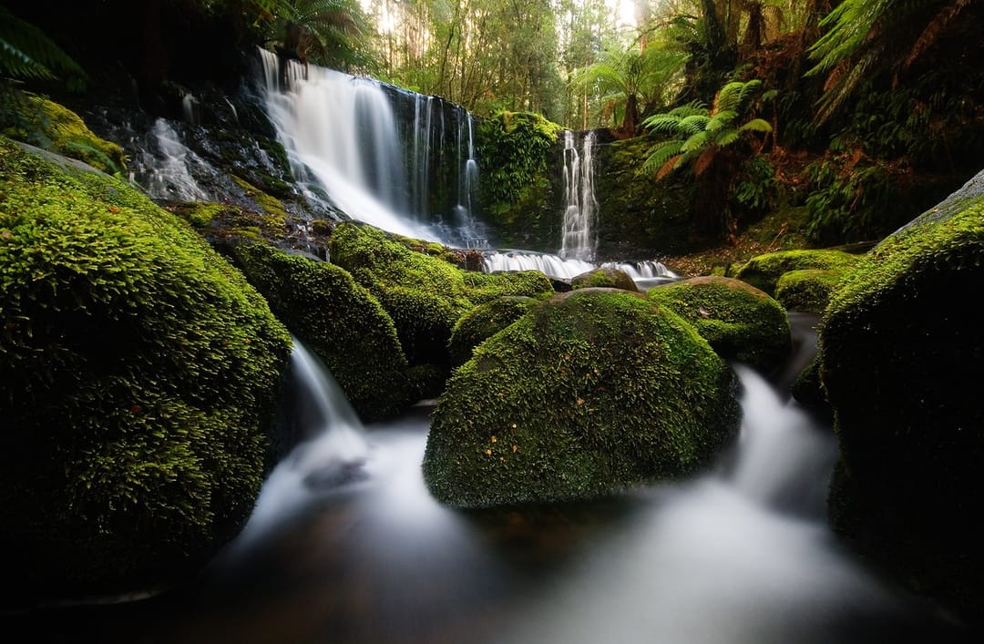 Waterfall chasing weekend 💧 📍 Tasmania #nature [QA] 📷 JJ Harrison ( https://www.jjharrison.co… · CC BY-SA 3.0