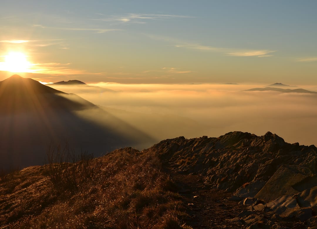 Quiet mornings like this one 🌄 h/t @qa_artist_1 📍 Yorkshire Dales #mountains #art [QA] 📷 Kreuzschnabel, Kabelleger /… (3/3)
