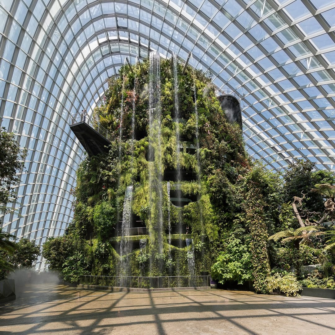 Wandering around the Cloud Forest with nowhere to be ✨ 📍 Singapore #cityscape #photo [QA] 📷 Basile Morin, Benh LIEU S… (1/3)
