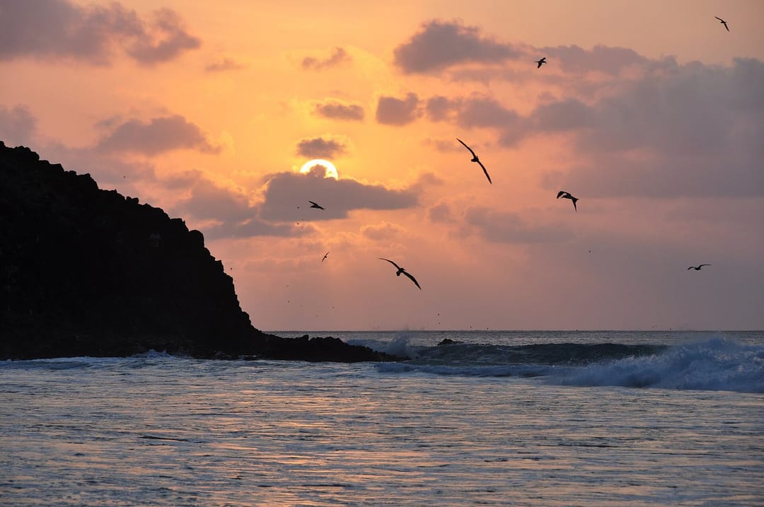 Every sunset is different and I will keep collecting them 🌇 📍 Fernando de Noronha #sunset #beach [QA] 📷 NicolasAlbuq… (1/3)