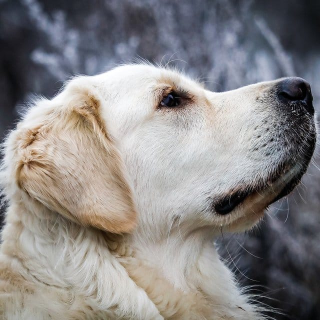 Profile photo of qa_fan_4